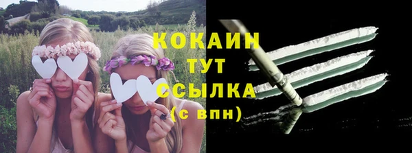 прущая мука Горняк