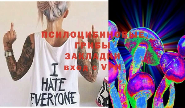 прущая мука Горняк
