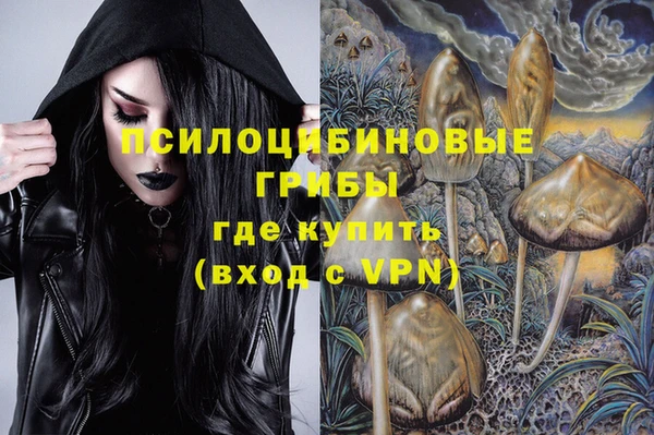 прущая мука Горняк