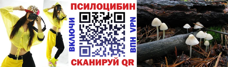Купить где  Тимашёвск  Псилоцибиновые грибы Magic Shrooms 